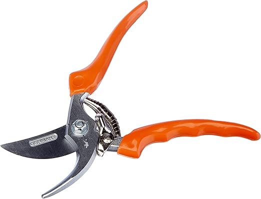 Qualité Stihl pour des Résultats Exceptionnels