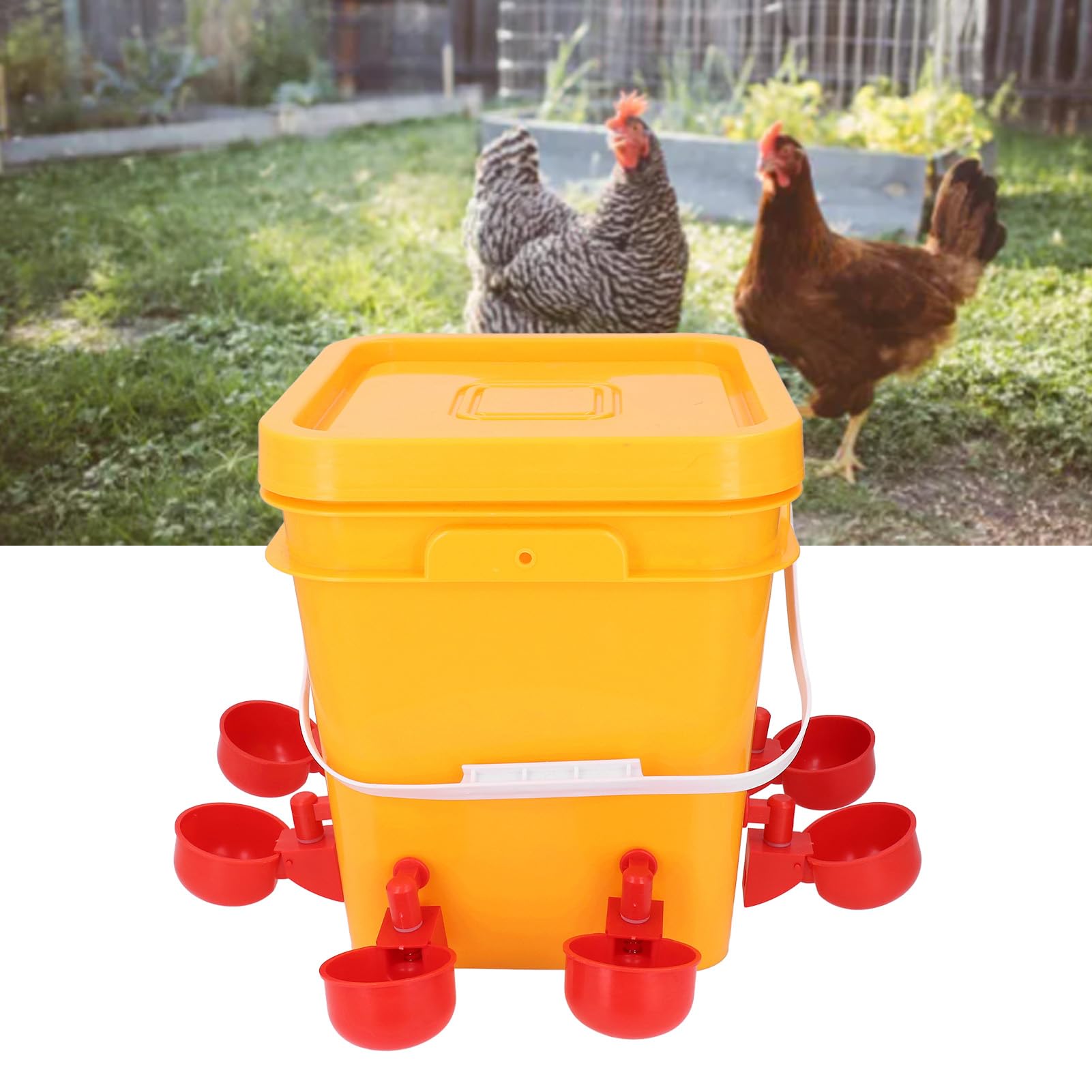 Juego de bebederos automáticos para Pollos, dispensador de Agua para Aves de Corral con Recarga automática y diseño de bajo derrame para Pollos, Patos, Gansos y Pavos, de Gran Capa (Tazas de Agua