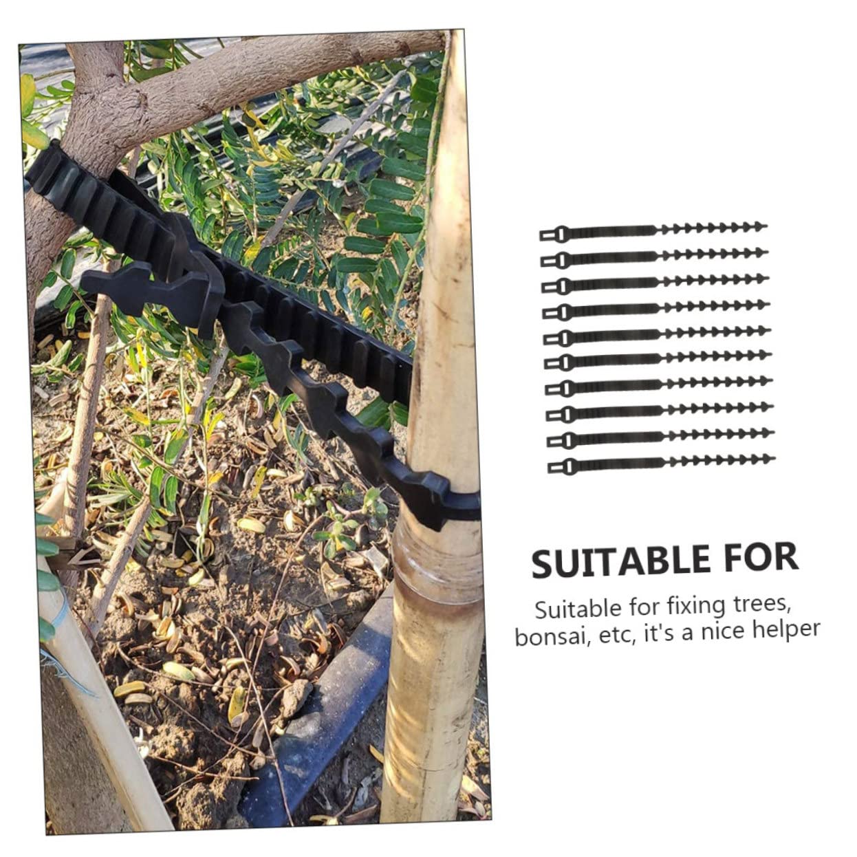 Baumbänder 10 Stück für Obstbäume Jungpflanzen Gummiverschlussband Schwarz Verstellbar zum Binden und Ausrichten von Ästen und Stämmen