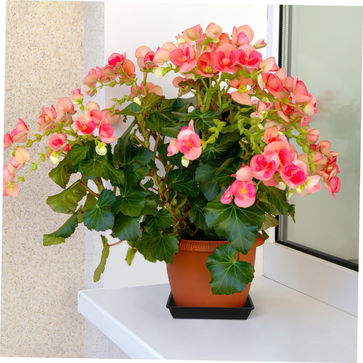 Kisangel 10pcs Plant Saucer Trays Drainage Tray for Use Planter Base for Flower Pots and Convenient