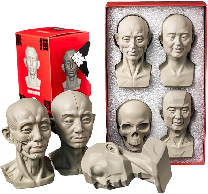 Pack de 4 Cabezas Planas Estándar, Modelo para Artistas de Planos Faciales miniatura 3