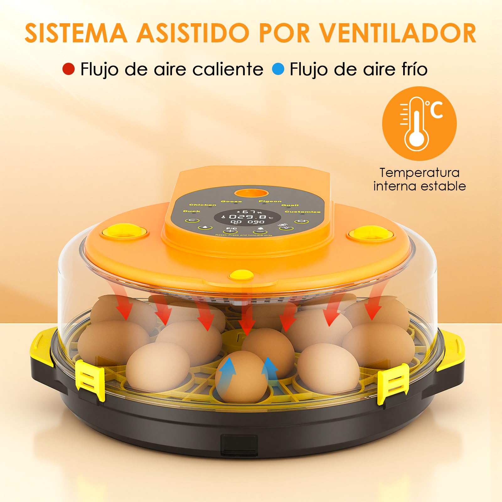 Incubadora Huevos Gallina, Incubadora Automatica para 15 Huevos Volteo Automático de Huevos, Control de Temperatura y Humedad, Adecuado para la Incubación de Huevos de Gallina, Pato, Ganso