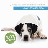 Ver la foto 2
