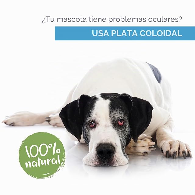 Foto 2 de 7 de Institut Katharos Limpiador Ojos Perros y Gatos - Colirio 100% Natural contra Conjuntivitis