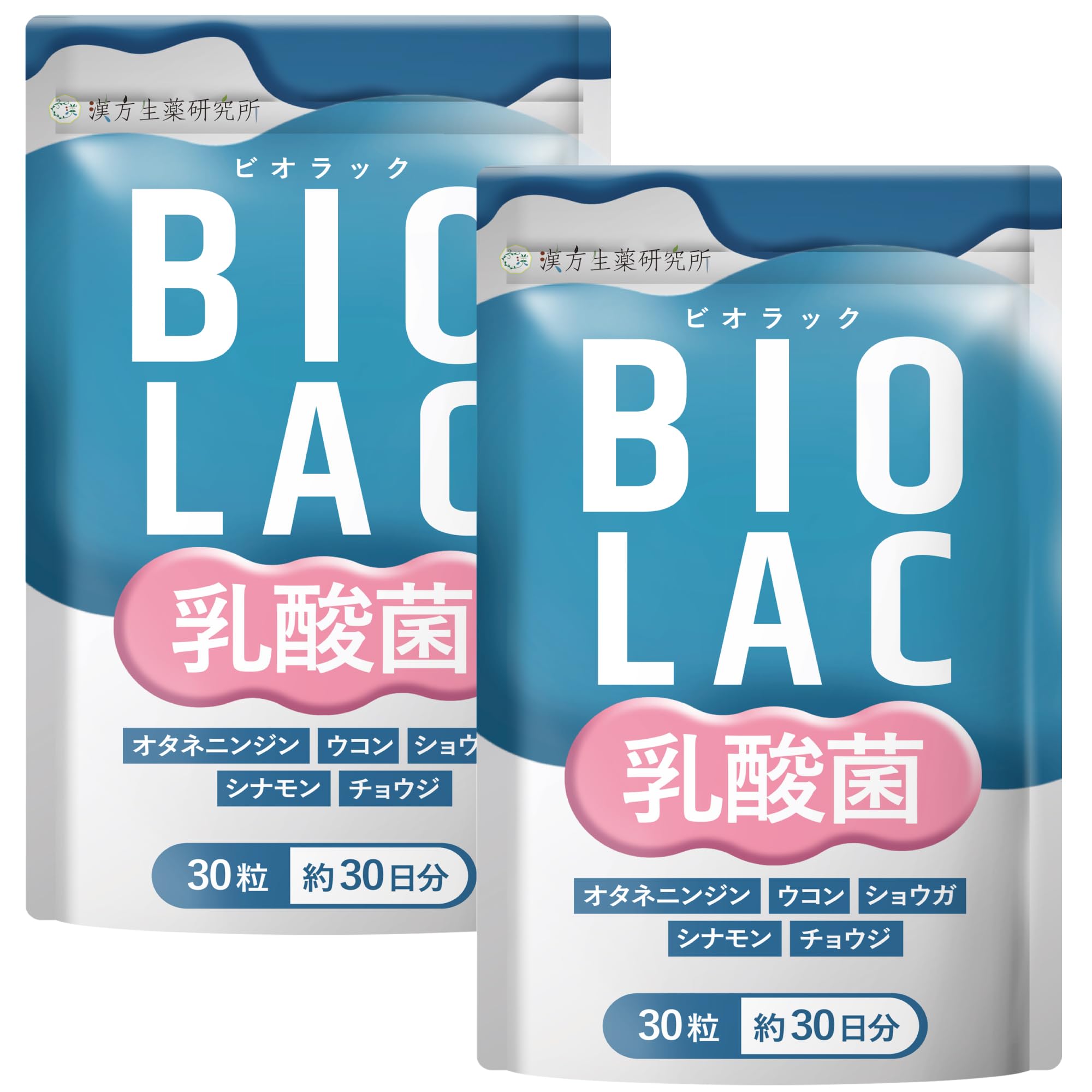 乳酸菌の科学と技術   /学会出版センタ-/乳酸菌研究集談会（単行本） 乳酸菌の科学と技術 | 乳酸菌研究集談会 |本 | 通販 | Amazon