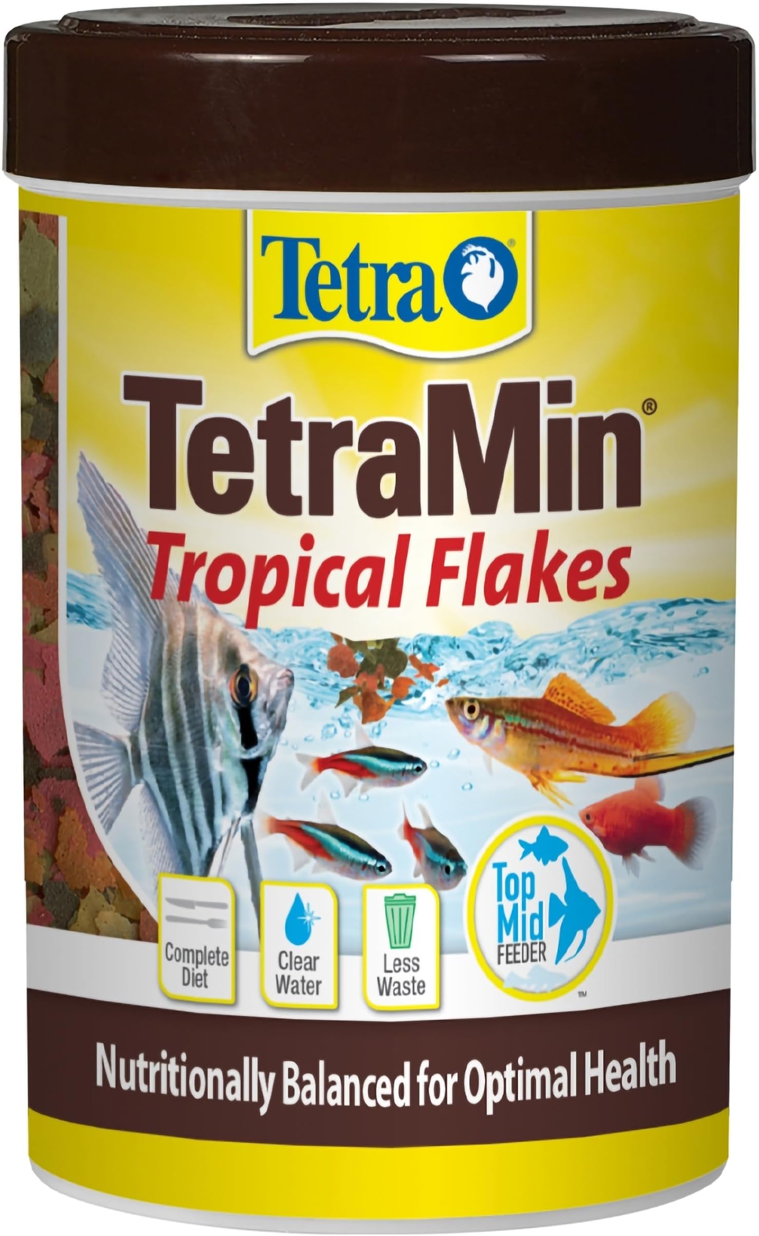 Balanced Diet for Tropical Fish: Essential Tips for Vibrant Health