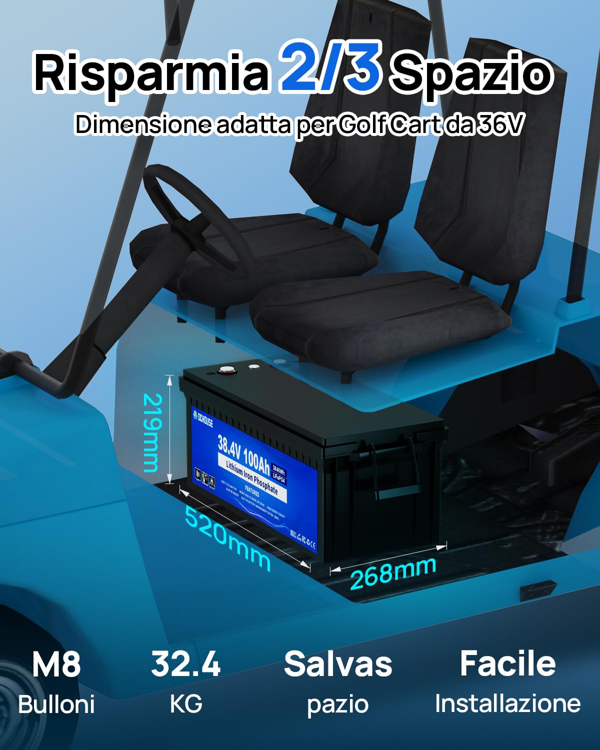 DCHOUSE 36V 100Ah Batteria al Litio Lifepo4 da 36V 25A Charger