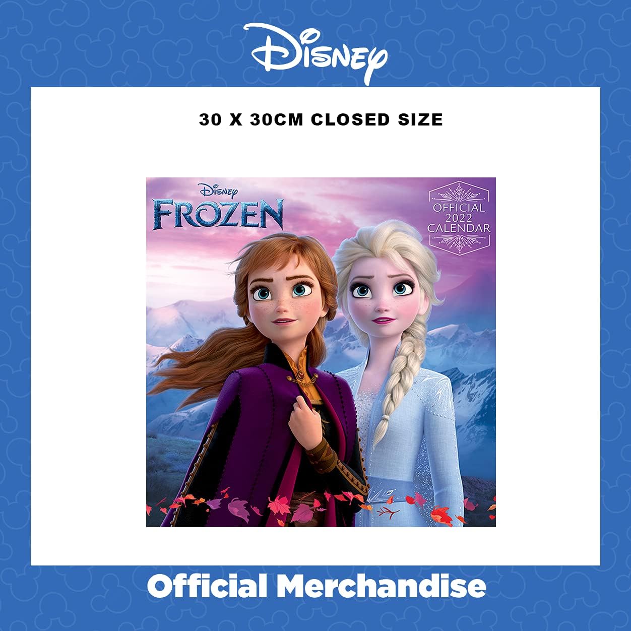 Amazon.com : Disney Frozen Calendar 2022 - Month To A View Family Planner 30Cm X 30Cm - Official Merchandise : Office Products