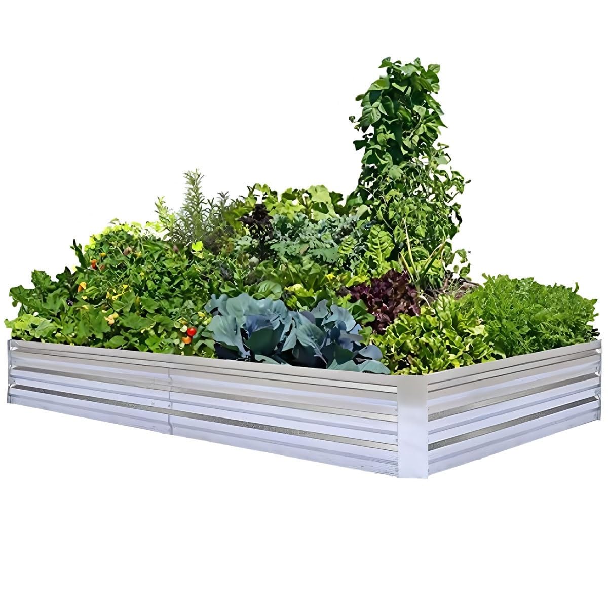 Jardinière surélevée en métal galvanisé durable, bac rectangulaire de haute résistance