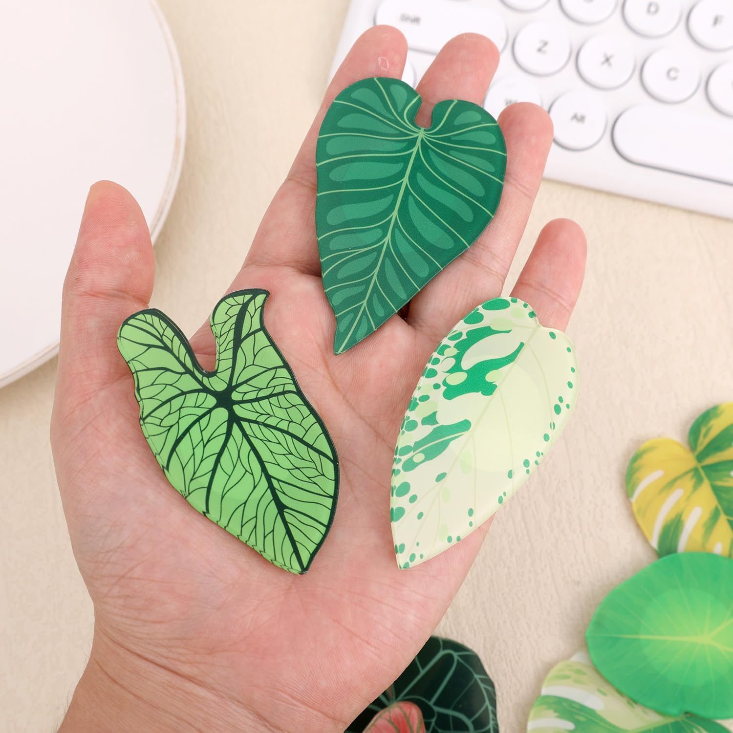 12pcs Leaf Shaped Fridge Magnets, Acrylic Plant Themed Magnets Funny Monstera Decoration for Kitchen Office School Home Refrigerator Locker Whiteboard (12 Styles) image 4