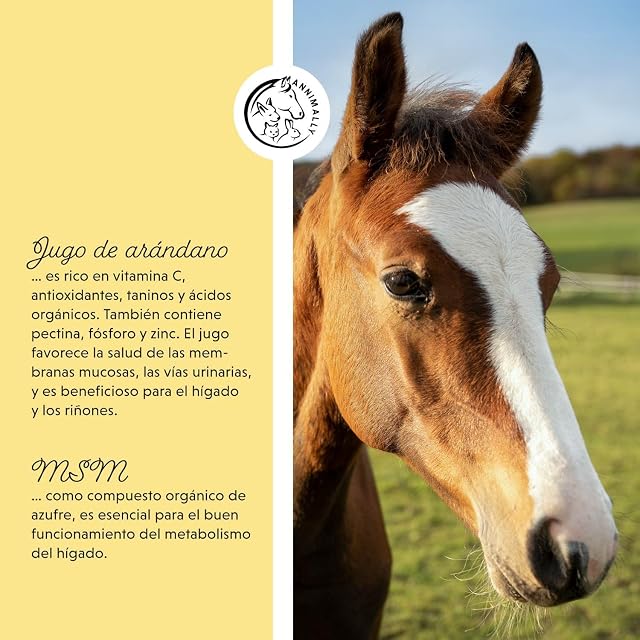 Foto 4 de 8 de Líquido para Hígado y Riñones para Caballos