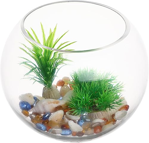 Miniatura 7 de Tazón de burbujas de vidrio de 7.9 in, cuenco redondo de vidrio, decoración de pecera, globo terrario, pecera, pecera, pecera, pecera, suculenta,