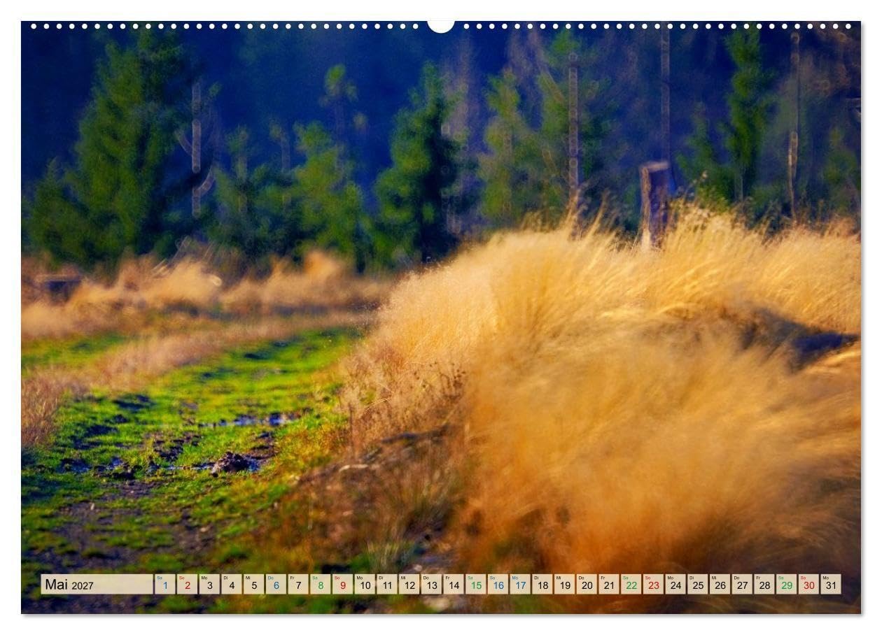 Thüringen nach dem Baumsterben (hochwertiger Premium Wandkalender 2027 DIN A2 quer), Kunstdruck in Hochglanz: Junges Grün, klare Horizonte und ein ... die Landschaft Thüringens. (CALVENDO Natur)