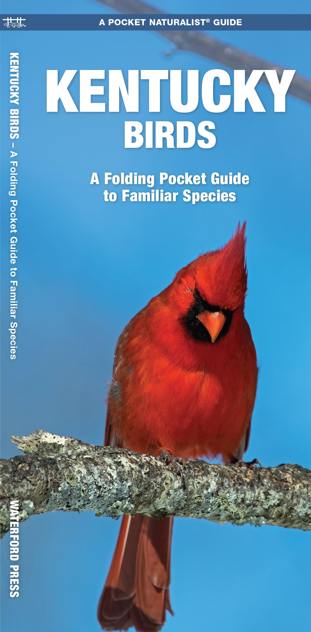Kentucky Birds: A Folding Pocket Guide to Familiar Species (Nature Observation North America)
