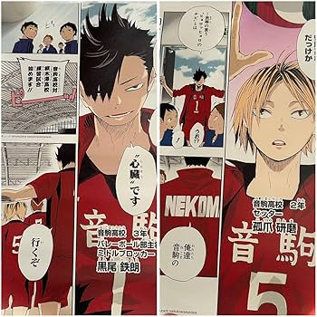 Amazon.co.jp: ハイキュー!! 名場面ポスターⅡ 黒尾鉄朗 孤爪研磨 2本