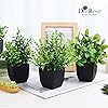 Product Photo 6