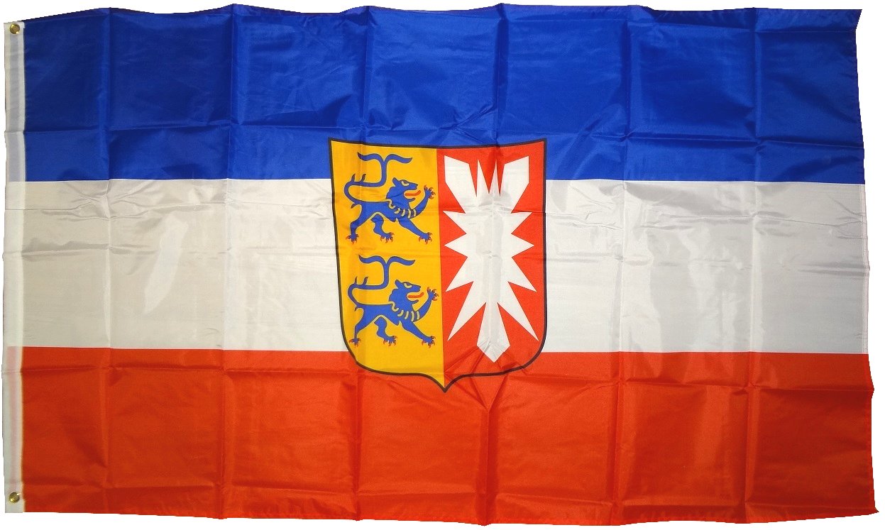 Bandiera Schleswig-Holstein Con Stemma – 90x150 Cm, Tessuto Poliestere Resistente, Doppie Cuciture - 2