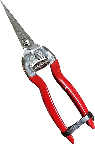 Miniatura 8 de GARDEN GURU - Tijeras de podar extra largas de acero inoxidable - Cortador de bonsái afilado Tijeras de recortar plantas - Herramienta de tijeras de