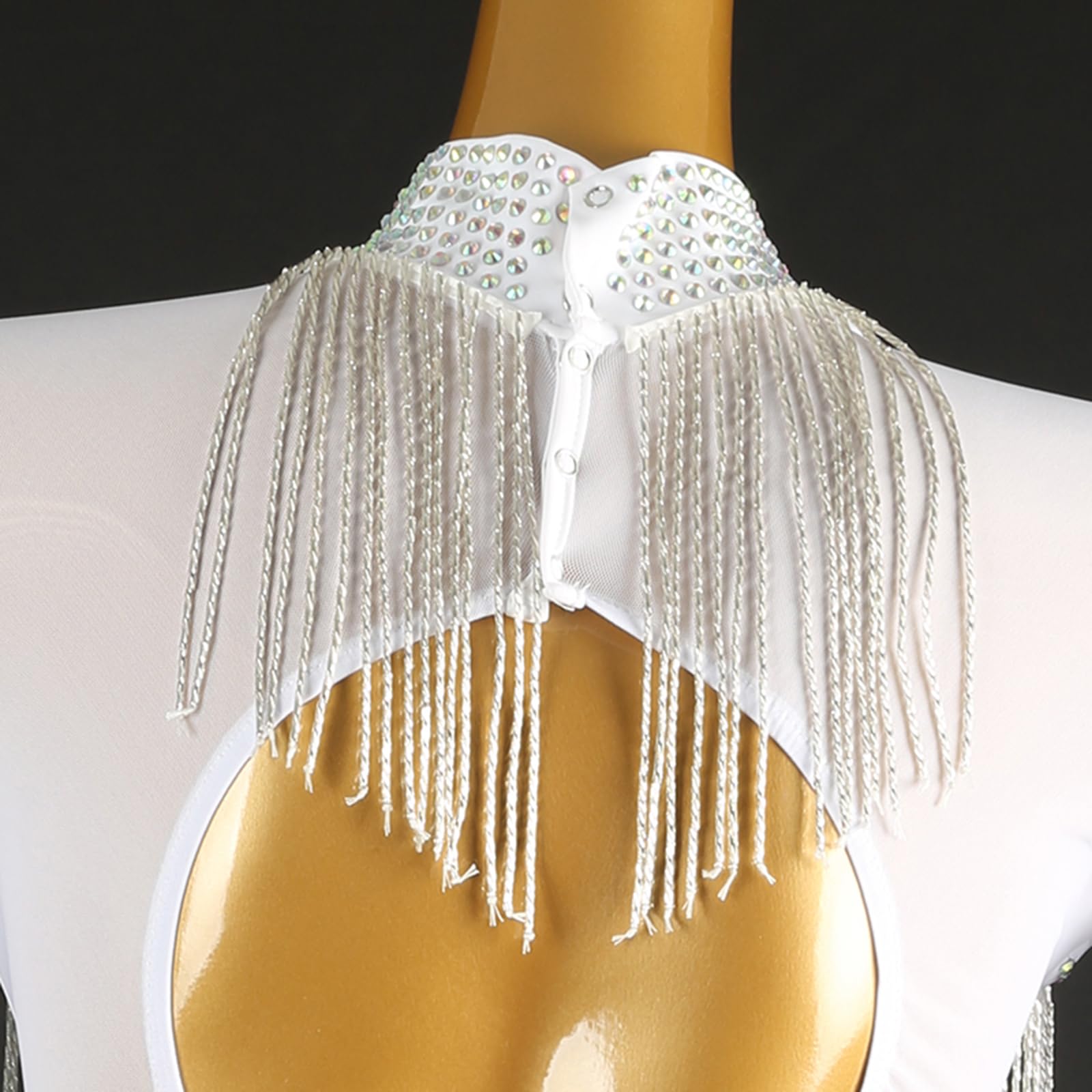 Damen Lateinrock Ballsaal Tanzkleid Lange Ärmel Hoher Kragen Strass Wettbewerbskleidung Tanzrock Rumba Samba Cha Cha Tanzkleidung