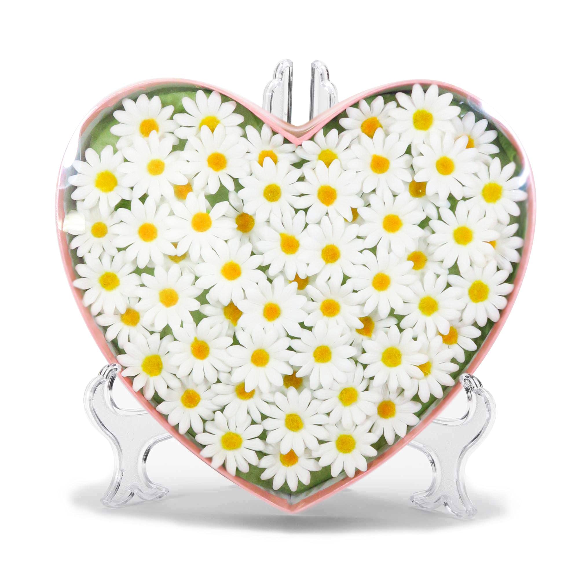 Amazon.co.jp: キューフラ(Q-FLA) ソープフラワー入浴剤 マーガレット