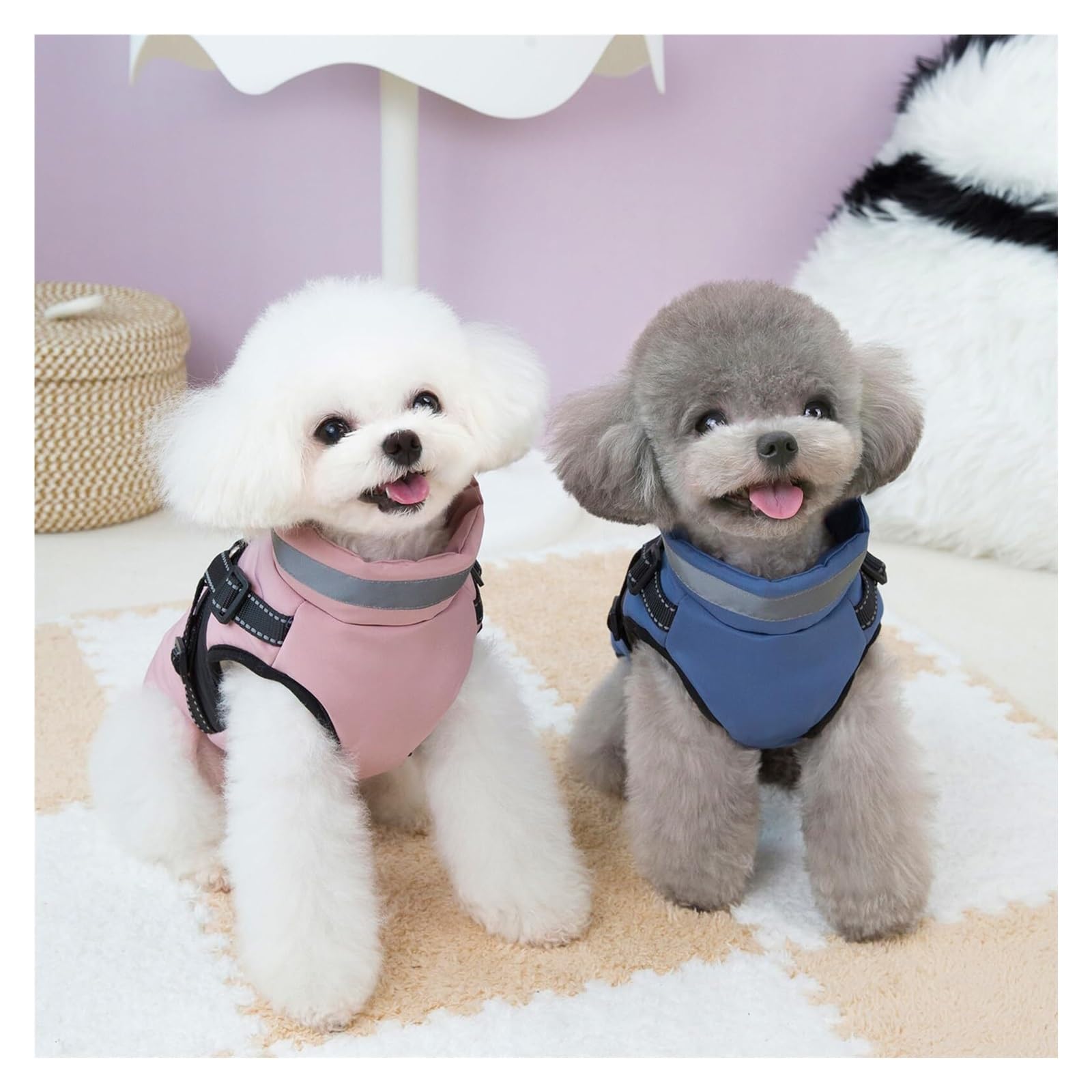 Manteau d'hiver pour chien de petite race – Veste chaude rembourrée avec bandes réfléchissantes pour temps froid – Design confortable à 2 pattes pour activités de plein air (bleu, taille XXXXL)