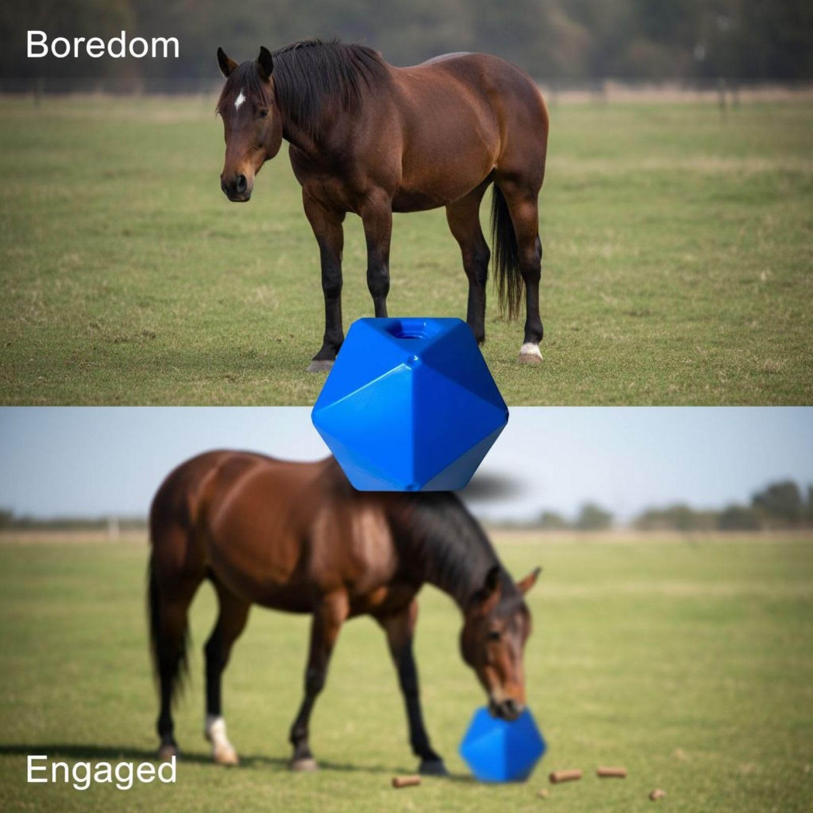 Mangiatoia per cavalli, 9 in / 23 cm, blu, palla da gioco per pascolo per noia, materiale PP per alimenti, divertente antistress per cavalli, stabile interattiva