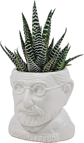 Miniatura 2 de The Unemployed Philosophers Guild Sigmund Freud - Maceta de cerámica con busto