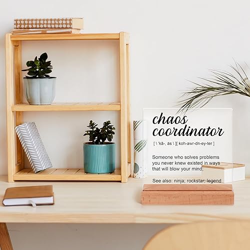 Miniatura 3 de Regalos de Coordinador del Caos para mujeres y hombres, regalos de agradecimiento para mujeres, regalos de vacaciones para compañeros de trabajo,