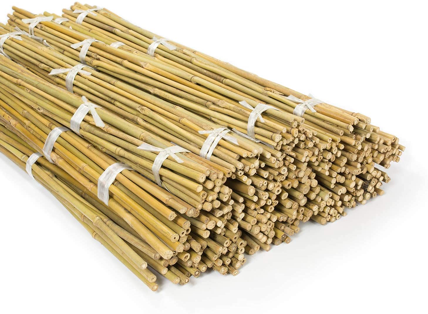 Bamboo Plant Support Garden Canes Strong Heavy Duty Bamboo Garden Stakes Natural Bamboo canes for Plants, Vegetables, Tomatoes Bamboo Sticks Poles (10, 2ft, 6-8mm)