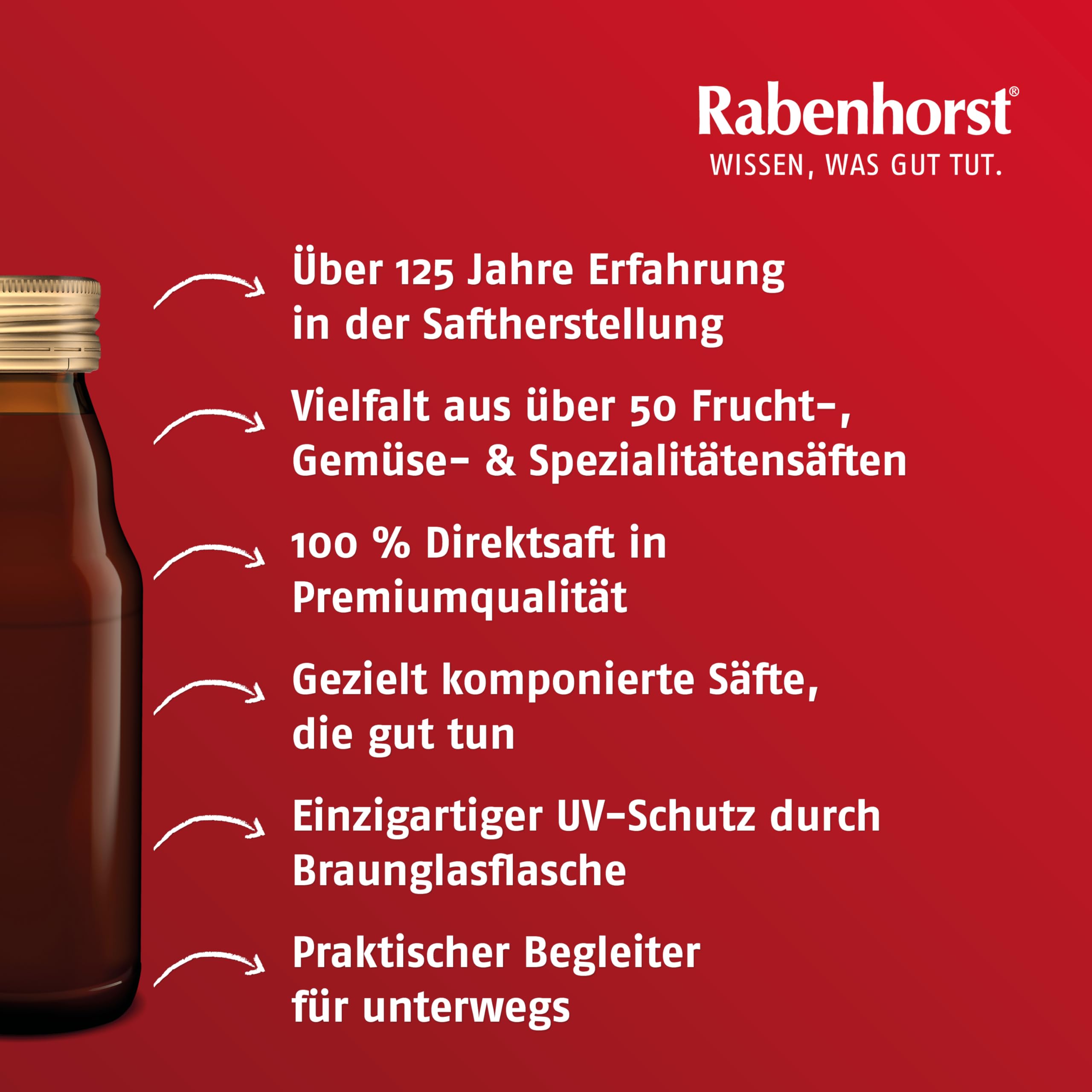 Rabenhorst Probierpaket Mini, 8 Sorten à 3 Flaschen (24 x 125 ml), 3 l (24er Pack)
