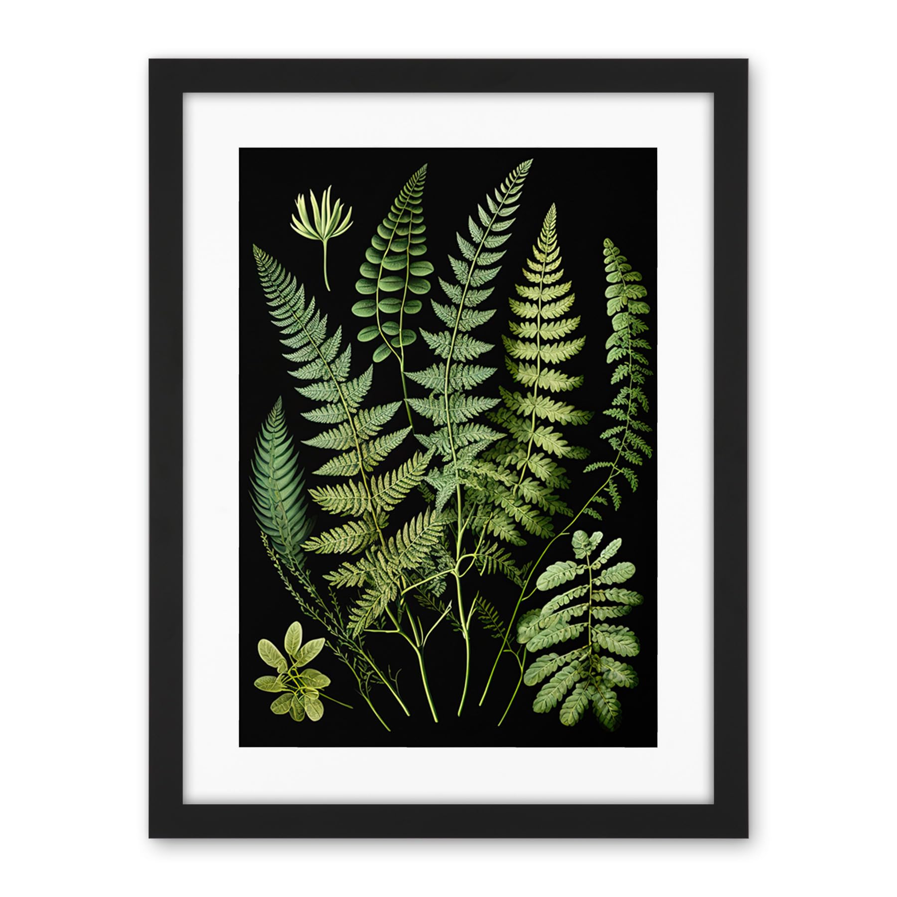 Artery8 Fern Fronds Detailed Leaves Botanical Illustration Artwork Framed Wall Art Print 18X24 Inch