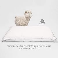 Vista 3 de Woolino Almohada para niños pequeños, 100% relleno de lana transpirable y funda de algodón para dormir, tamaño de viaje para niños pequeños, 14 x 19