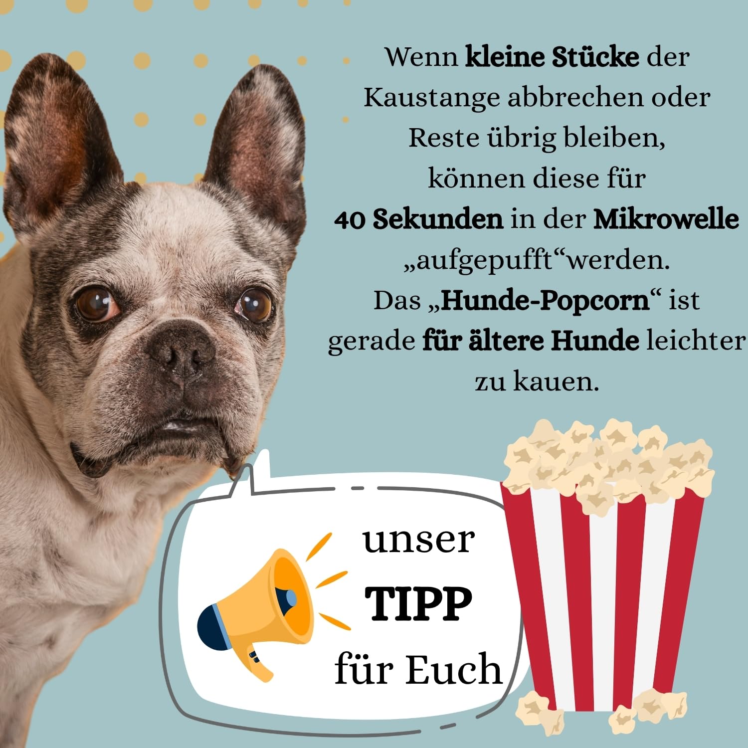 PetLove Kaukäse für Hunde aus 100% Hartkäse • Extra Harter, langanhaltender Kausnack • Natürlicher Käseknochen ohne Zusätze • Zahnpflege & Kauspaß • 6er Pack • Größe XL