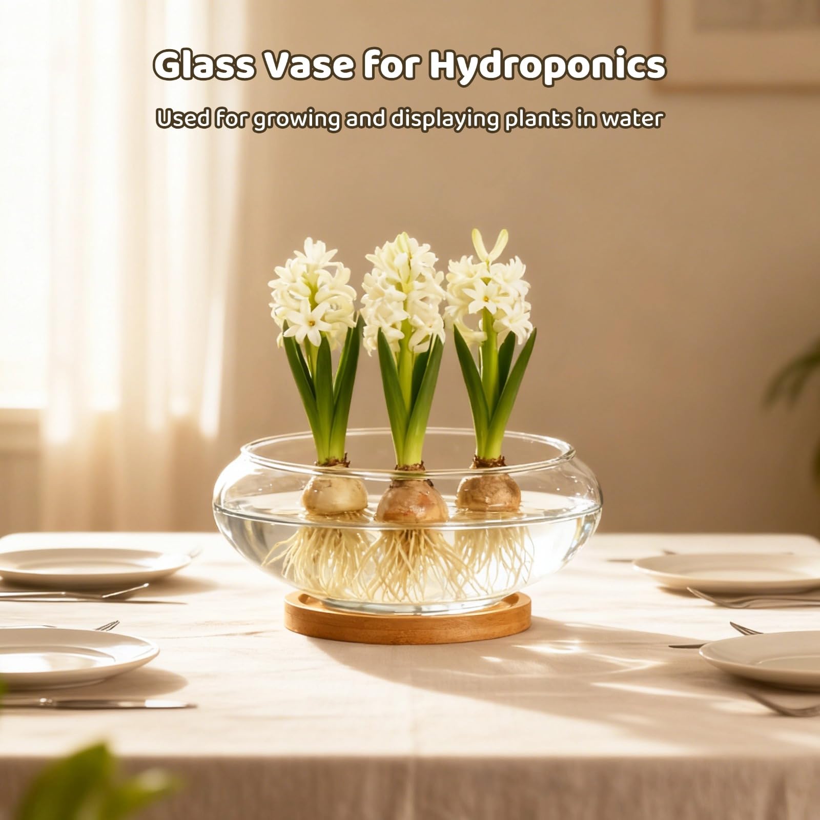 Set di 6 fioriere in vetro, vaso idroponico da 15,2 cm, con vassoi in legno naturale, contenitore trasparente per la coltivazione di piante acquatiche e grasse, terrario decorativo per la