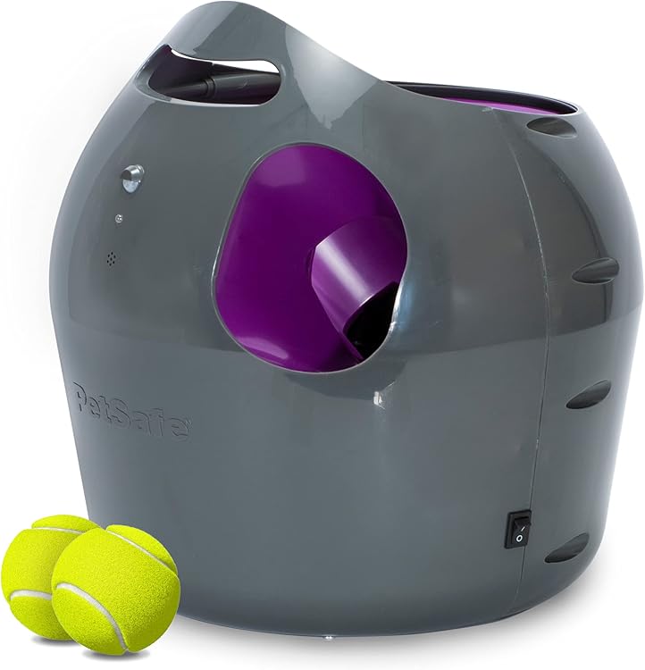 11 Best Automatic Dog Ball Launchers in 2023 (Reviewed and Tested!)