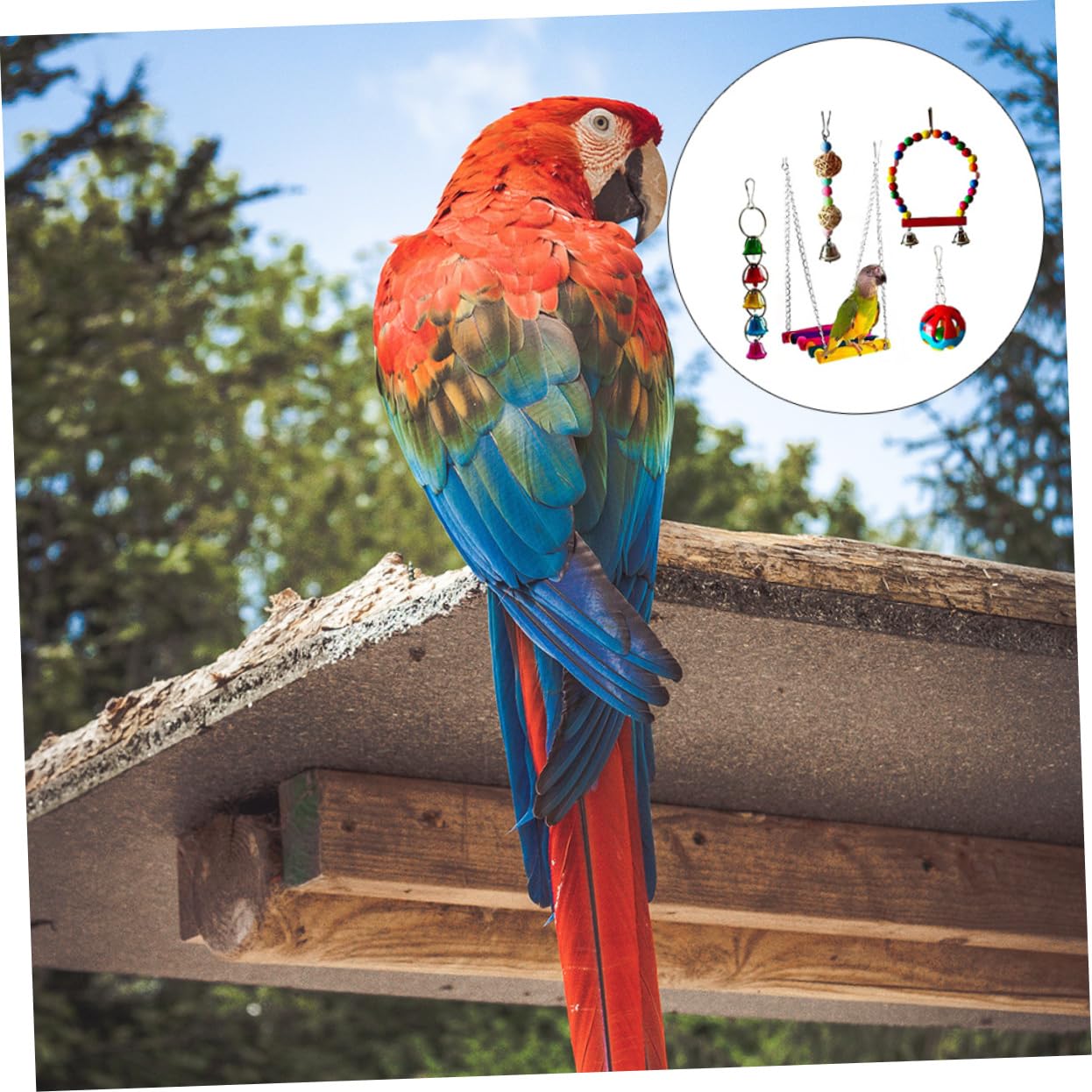 5 pièces Jouets à Mordre pour Perroquets Jouets pour Oiseaux Accessoires de Jeu Colorés pour Oiseaux à Mâcher