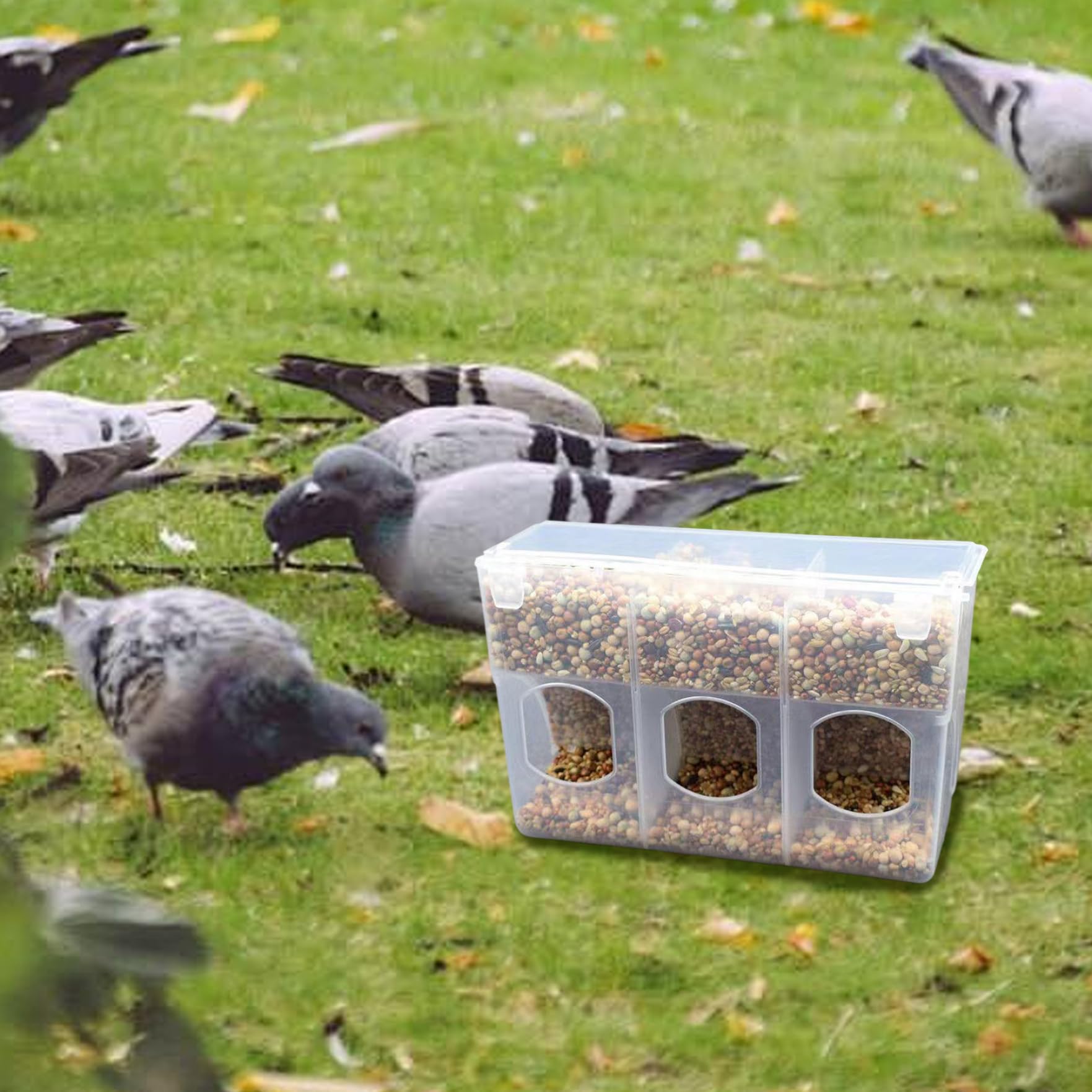 Faisseur de pigeon, 3 trous E mangeoires aux cailles avec compartiment et couvercle anti-poussière, station d'alimentation alimentaire suspendue pour les accessoires en cage