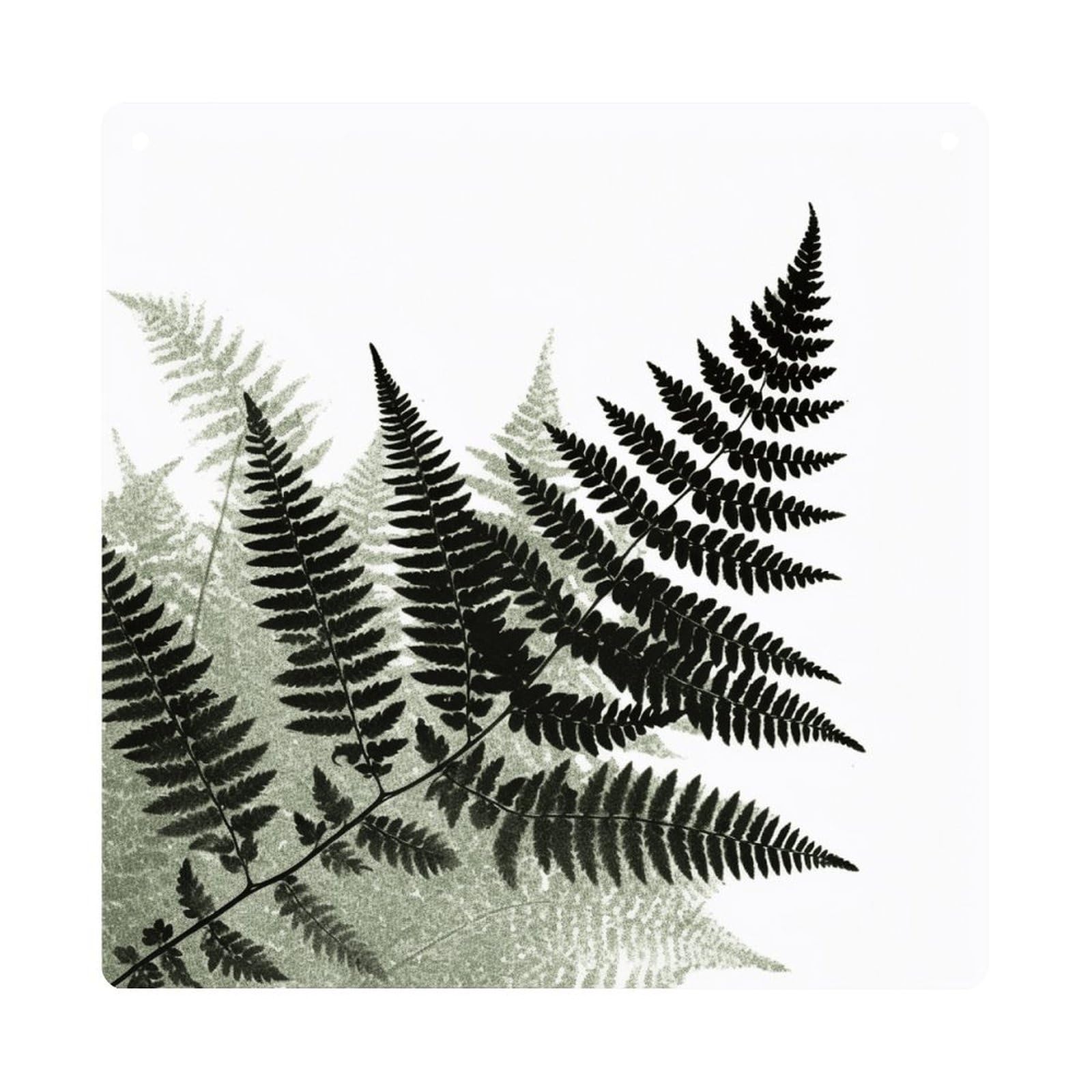LZQPOEAS Natural Plant Silhouette Fern Leaf Square Acrylic Wall Hanging, 8-Inch Acrylic Wall Art with Rope, Premium Wall Plaque Ornament Decor for Home, Living Room, Office, Fireplace & Festive Gifts