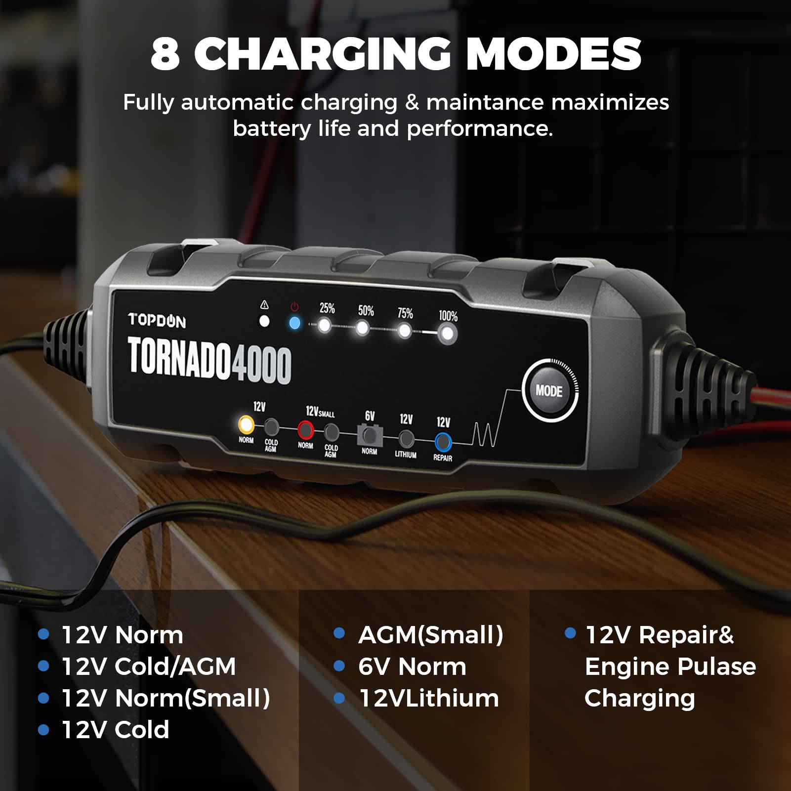 Buy Trickle Charger Car Battery Charger Automotive, TOPDON T4000 4A/1A