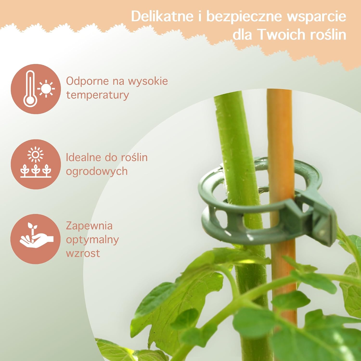 Подпорки для стеблей томатов