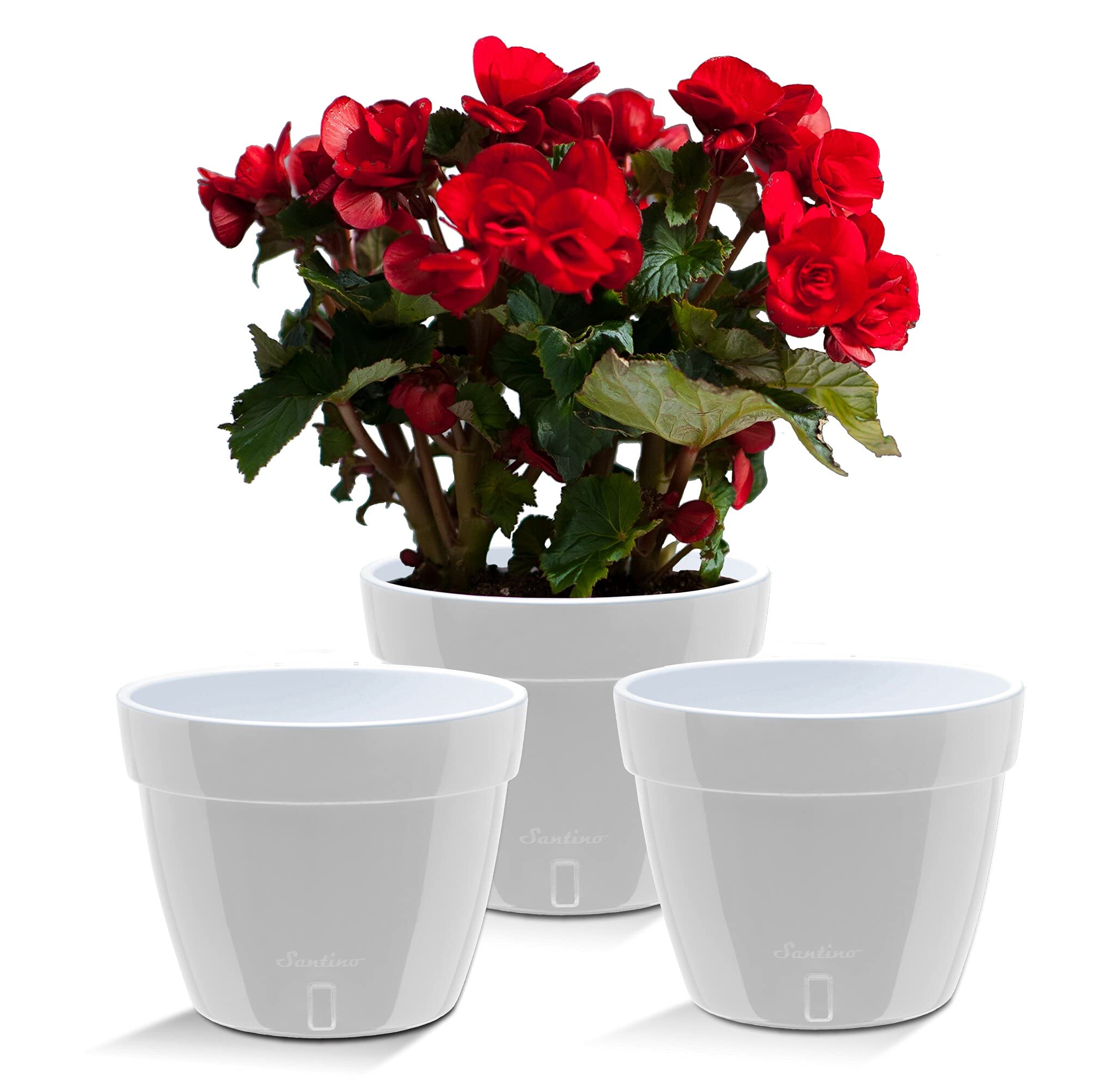 Santino ASTI Lot de 3 Pots de Fleurs à Arrosage Automatique - 20 CM - Auto-Arrosant - avec Indicateur de Niveau d'eau - pour Toutes Les Plantes D'intérieur (Ø 20 cm, H 16 cm, 4L - Gris/Blanc)