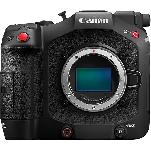 Canon EOS C80 6K Full-Frame Cinema Camera (Canon RF) (Renewed)