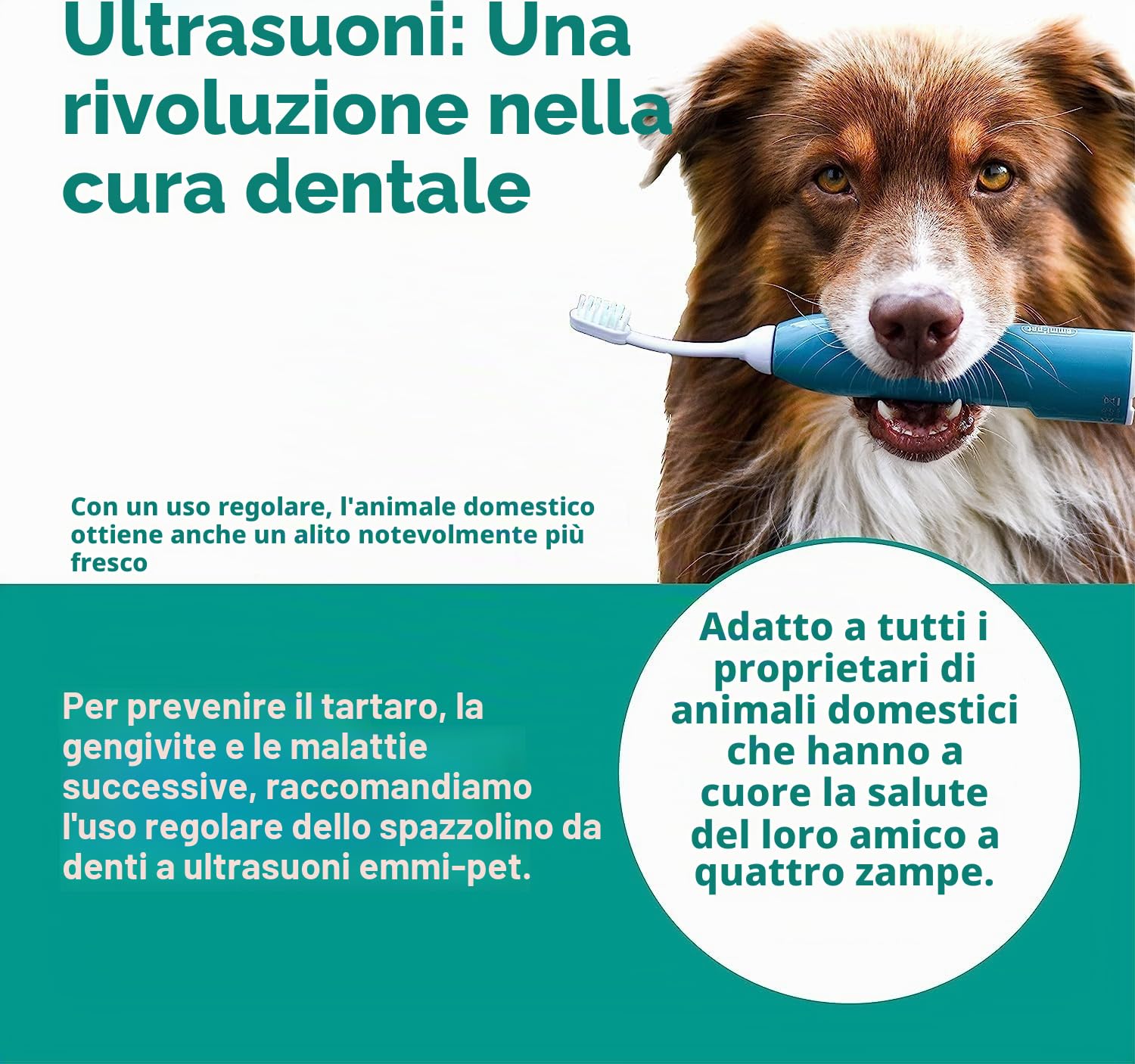 Emmi-pet Dentifricio per Cani 3x75ml Pasta Dentifricia Igiene Orale Completa Senza Fluoro