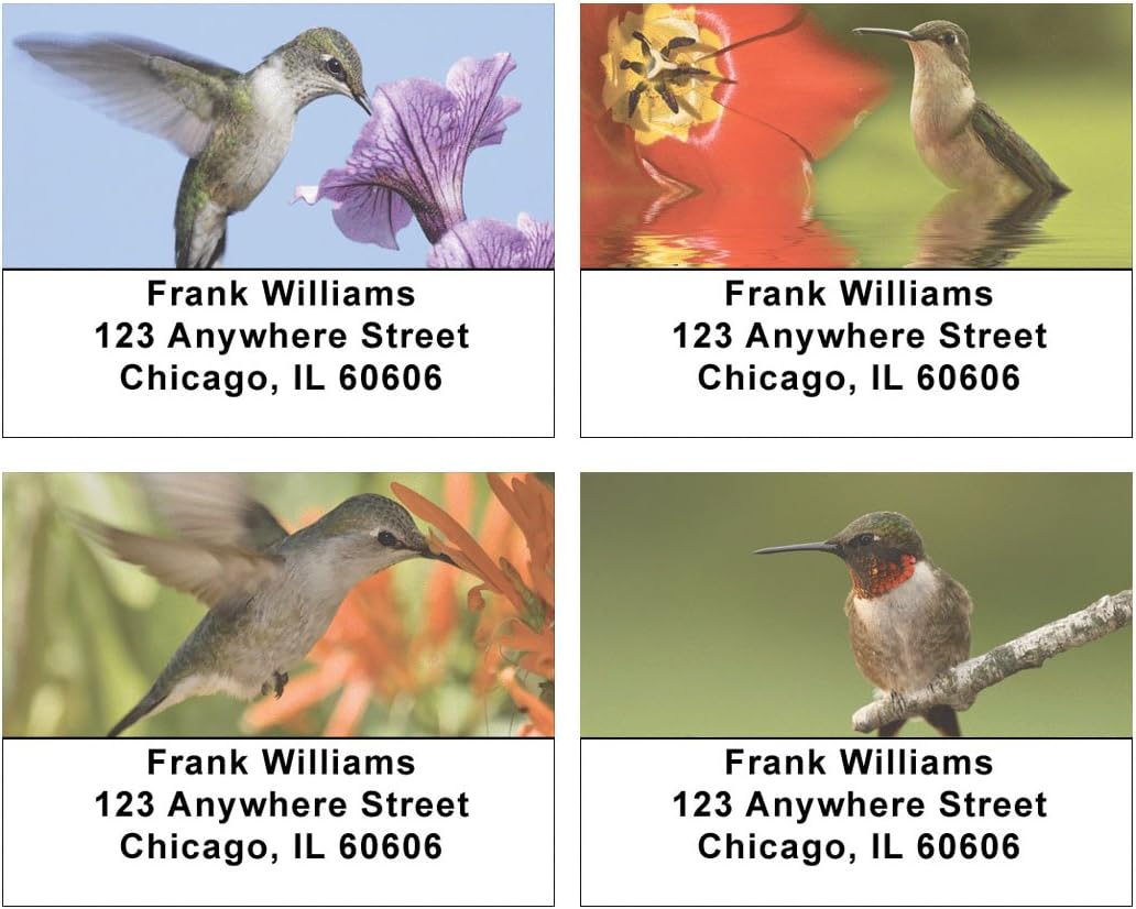 Hummingbirds Address Labels