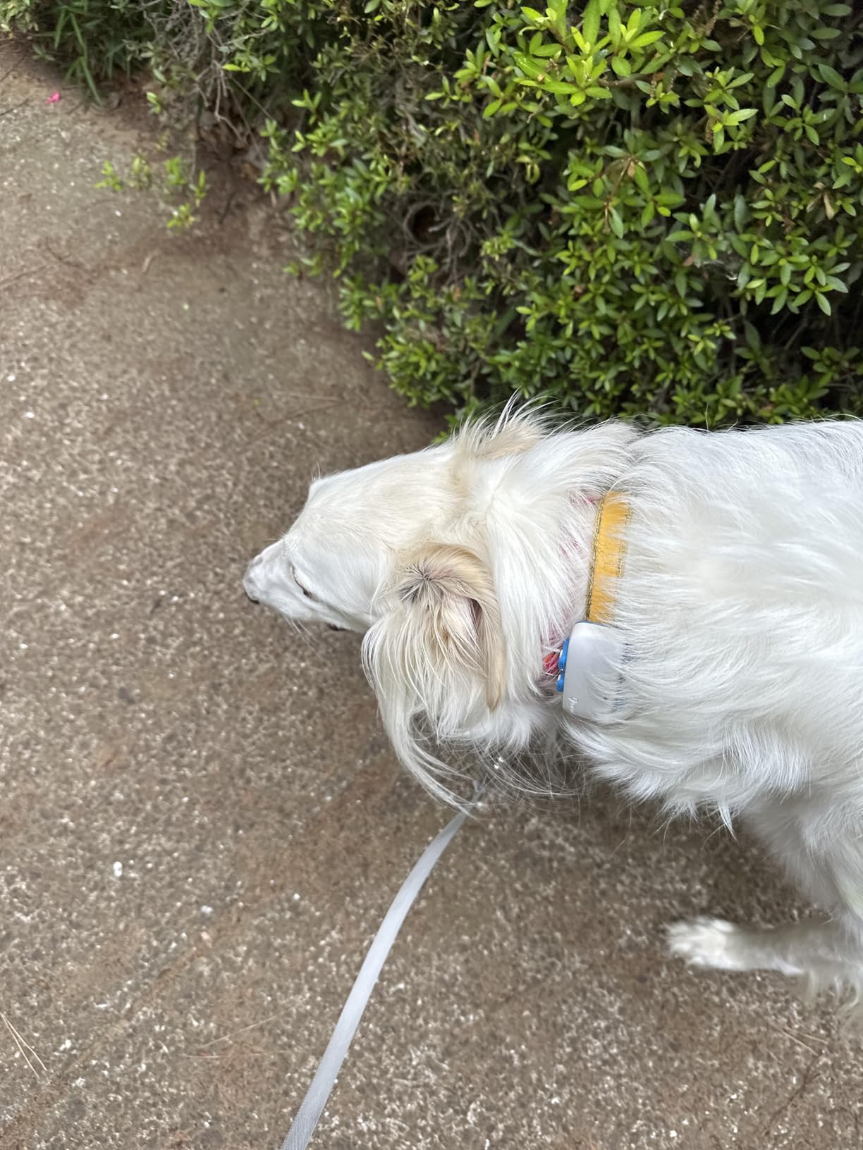 お客様イメージ