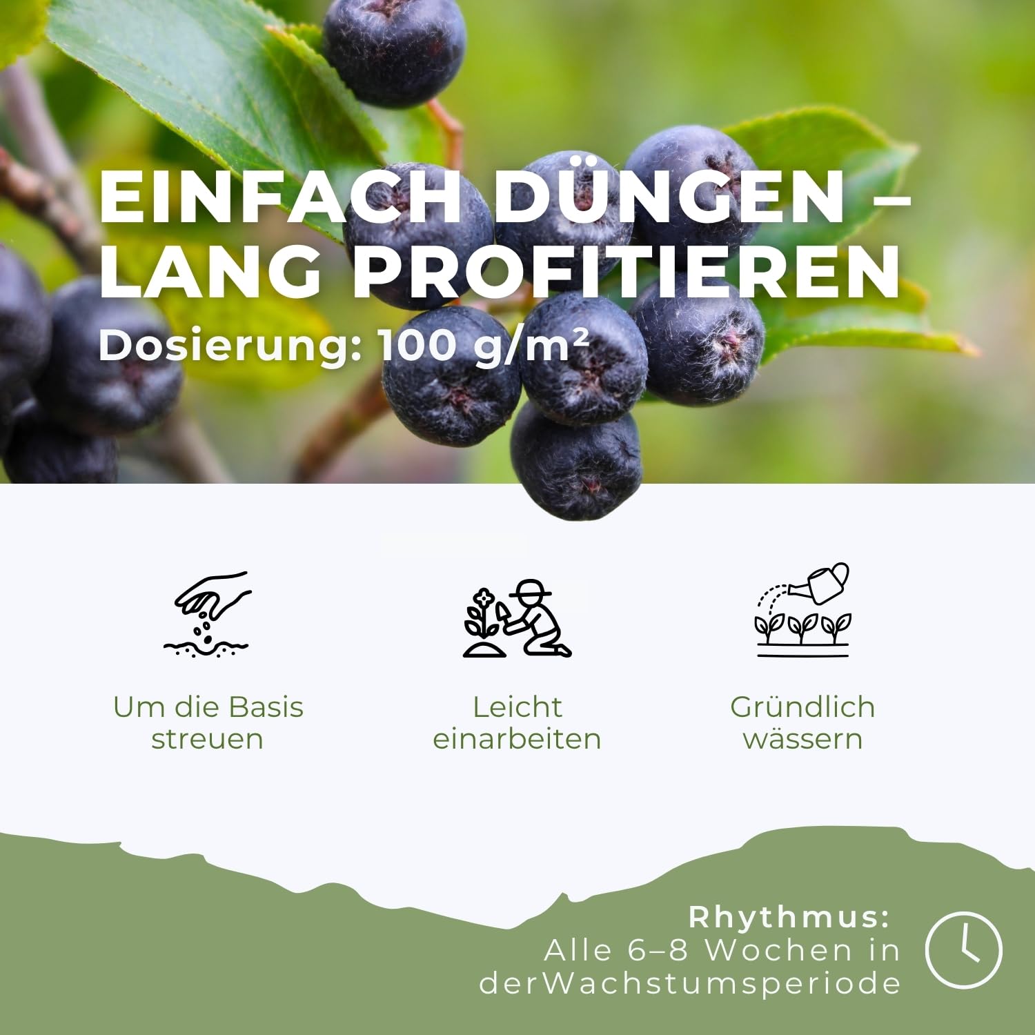 Flora Boost PRO Aronia Dünger mit Langzeitwirkung, 5KG Granulat
