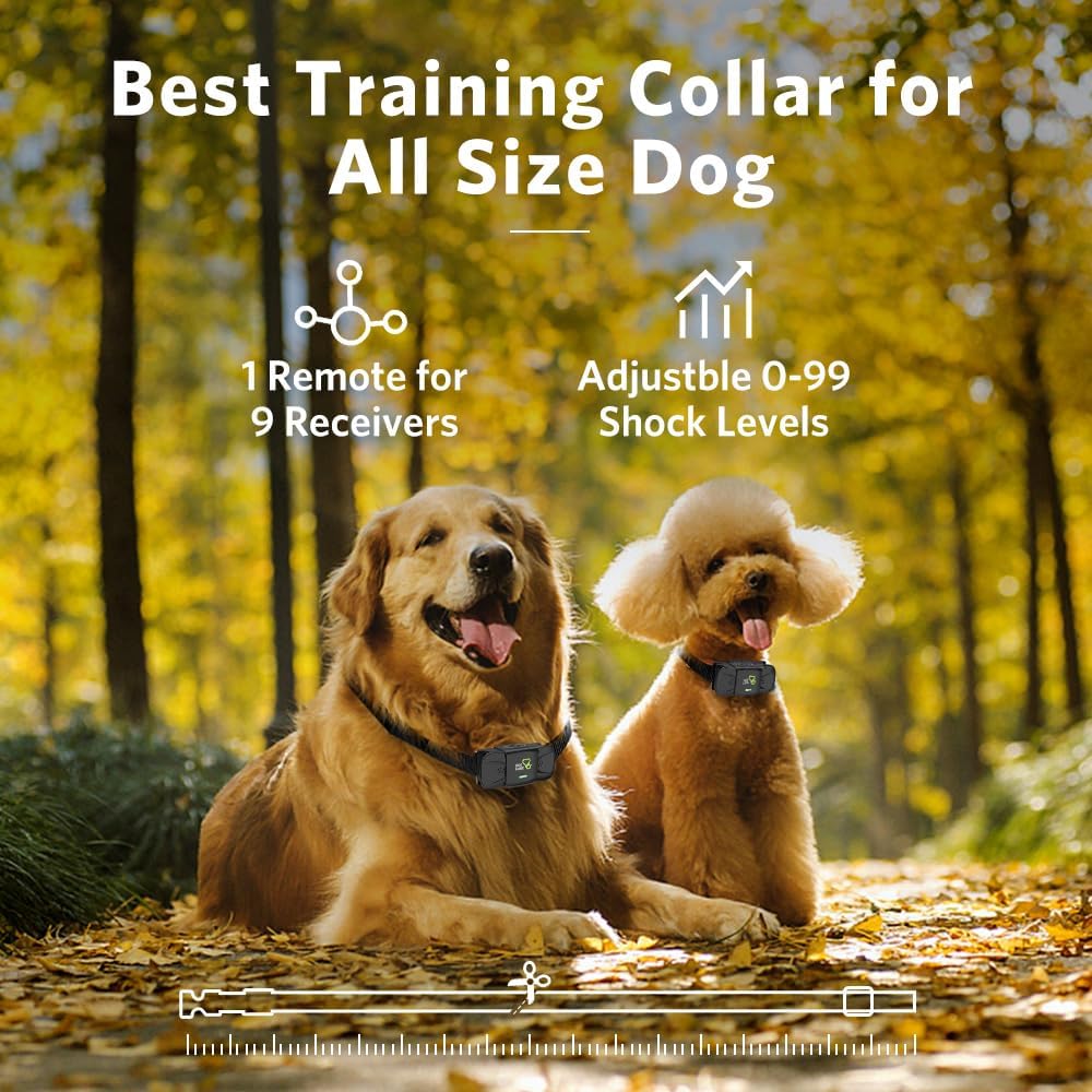 Two dogs, a Golden Retriever and a Poodle, wearing DOG CARE training collars, illustrating suitability for all dog sizes.