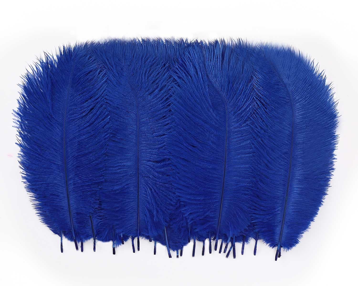 Hollosport 30 PCS Royal Blue Ostrich Feathers Bulk 10-12 Inch, Soft Natural Plumes for Centerpieces of Great Gatsby & Wedding Party, Home Vases Christmas Tree Decorations (Blue 10-12 Inch)