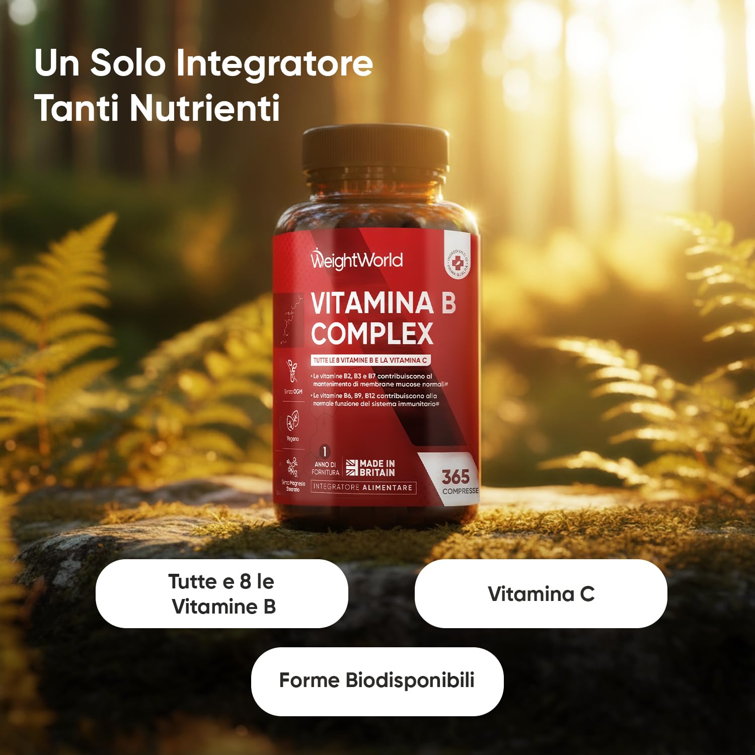 Vitamina B Complex, 365 Compresse Vegane, 1 al Giorno (1 Anno), con Biotina, Acido Folico, Riboflavina, Inositolo, Vitamina B12, B1, B3, B4, B5, B6 e Vit C (Acido Ascorbico), Senza Magnesio Stearato