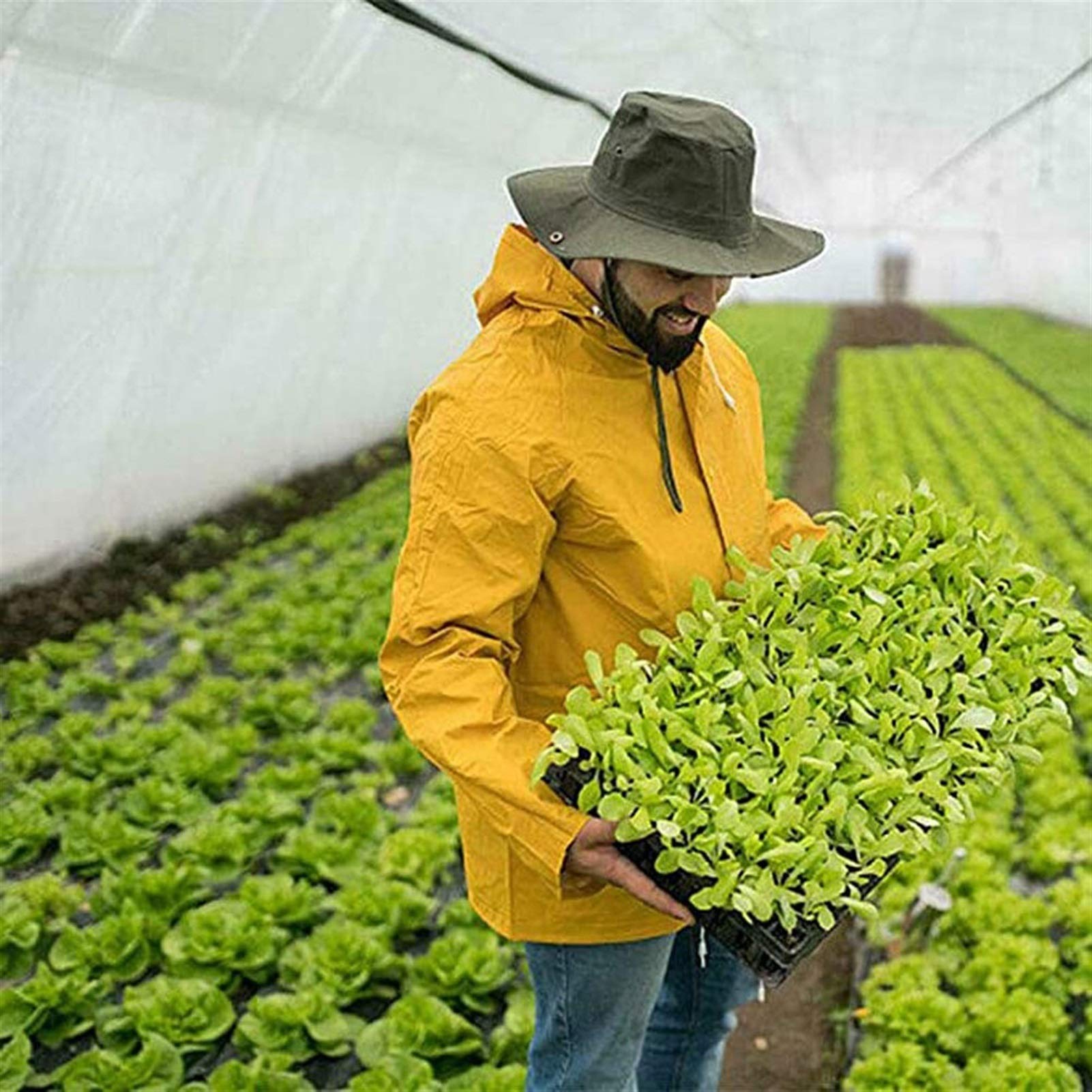 Filet anti-insectes pour légumes et plantes - Maille fine - Pour protéger votre jardin contre les parasites et les oiseaux - Maille de 1,3 mm - 2,5 m x 15 m